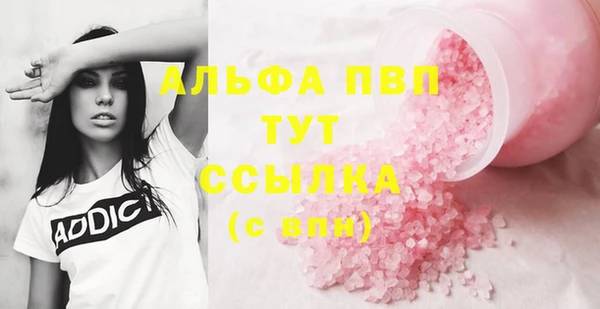 мет Алексин