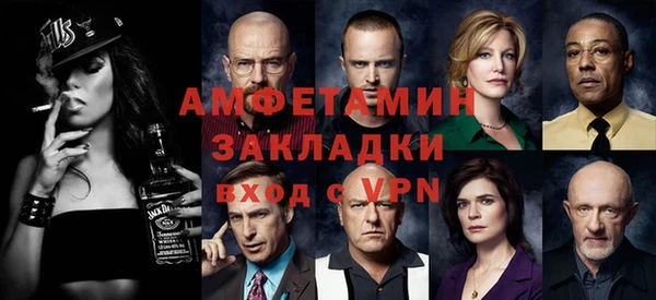 мет Алексин
